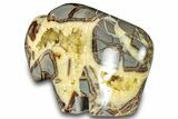 Calcite-Filled Polished Septarian Bison - Utah #301480-1